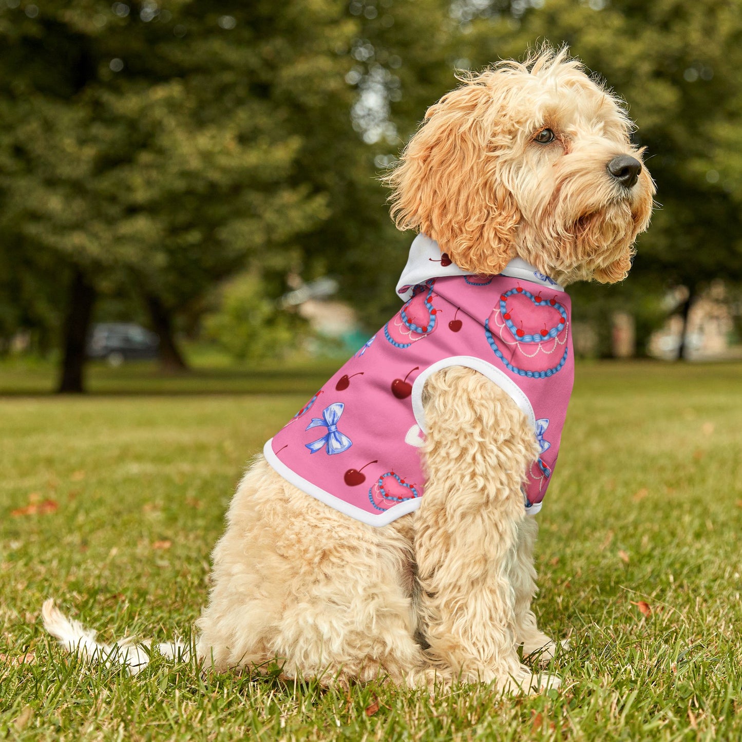 Cute Heart Print Pet Hoodie, Adorable Dog Sweater, Valentine’s Day Gift, Cozy Pet Clothes, Fashion for Pets