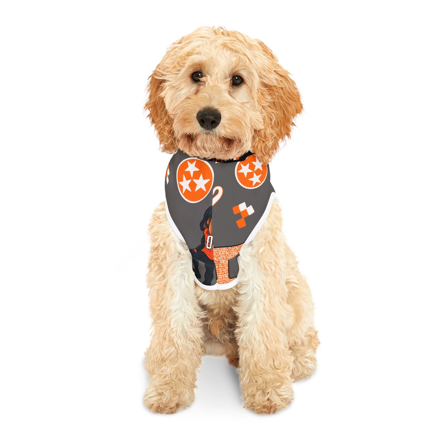 Tennessee Volunteers Pet Hoodie, Dog Sweater, Game Day Pet Apparel, Pet Gift for Sports Lovers, Dog Outfit for Celebrations