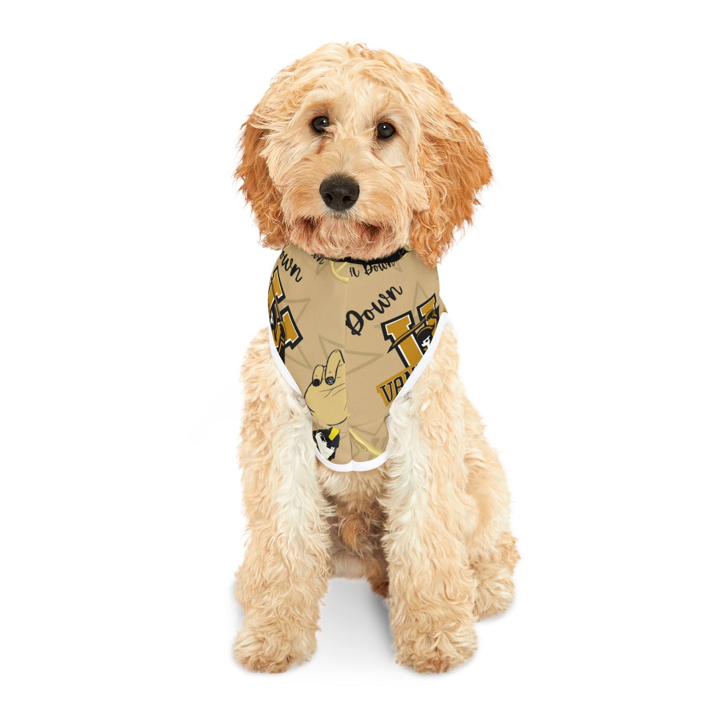 Vandy Pet Hoodie, Cute Dog Apparel, College Dog Clothes, Pet Outfit for Game Days, Vanderbilt Pet Gear