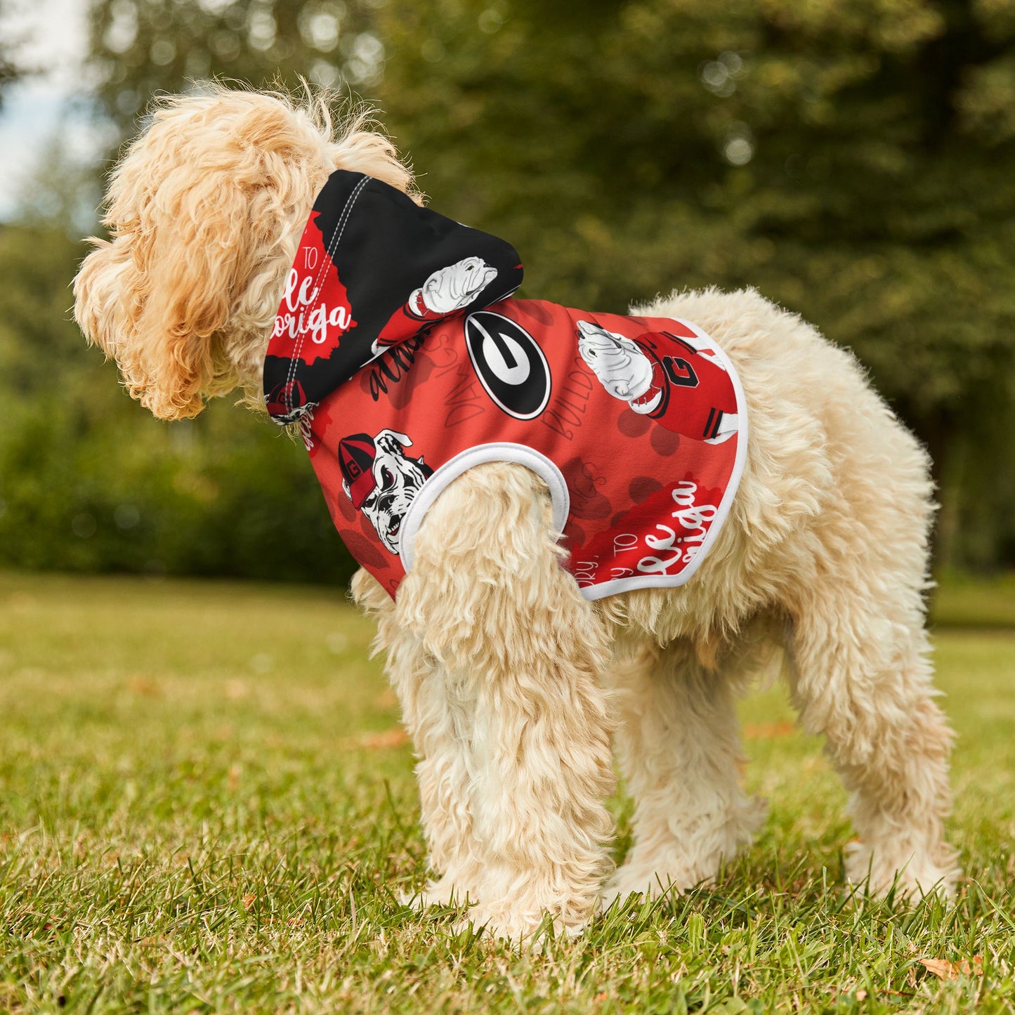 Georgia Bulldogs Pet Hoodie, Dog Apparel, Pet Costume, Sports Fan Outfit, College Team Gear, Pet Clothing, Pet Hoodie