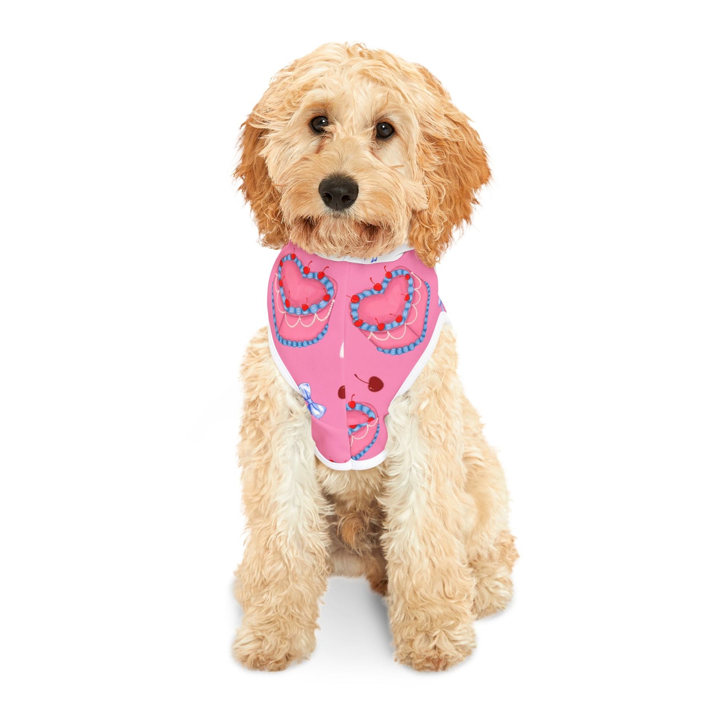 Cute Heart Print Pet Hoodie, Adorable Dog Sweater, Valentine’s Day Gift, Cozy Pet Clothes, Fashion for Pets