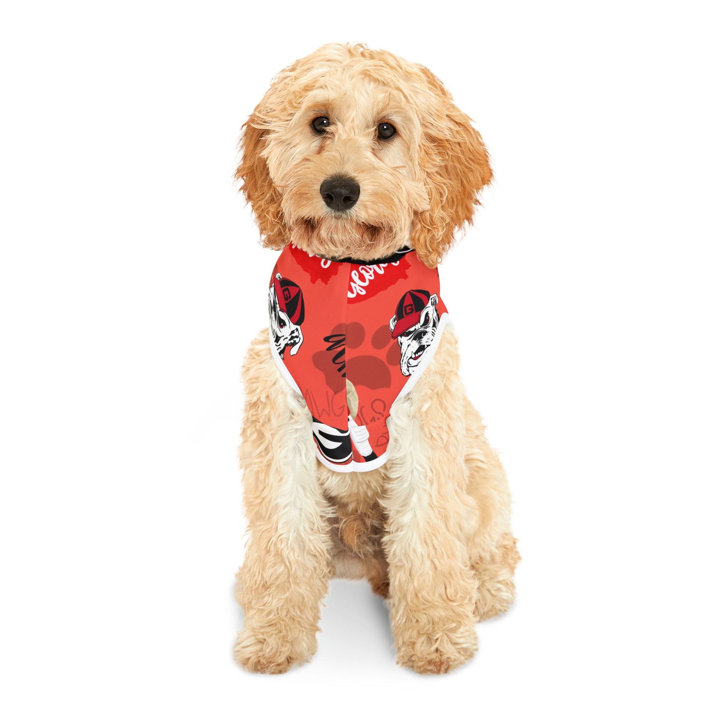 Georgia Bulldogs Pet Hoodie, Dog Apparel, Pet Costume, Sports Fan Outfit, College Team Gear, Pet Clothing, Pet Hoodie